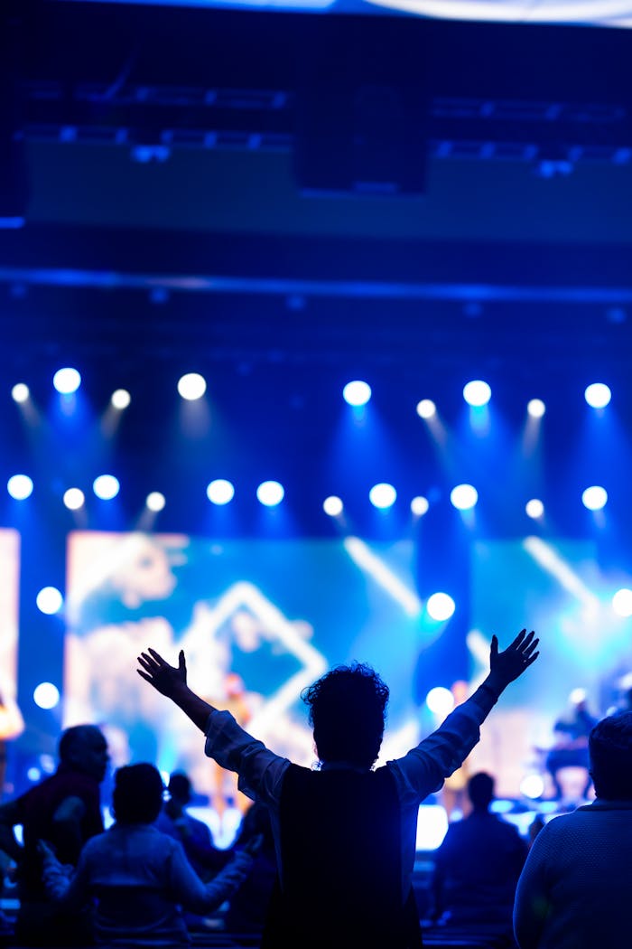 A lively concert scene with an audience member silhouetted against bright stage lights.